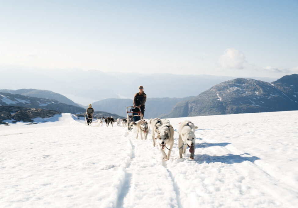 Husky dogs pulling two sleds with two mushers.