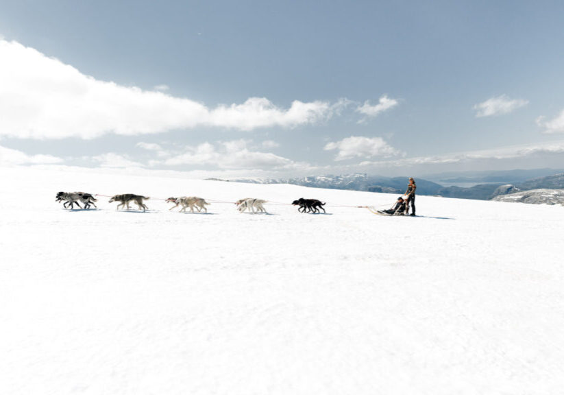Dogsledding across a snowy mountain with dogs pulling a sled with wto people.