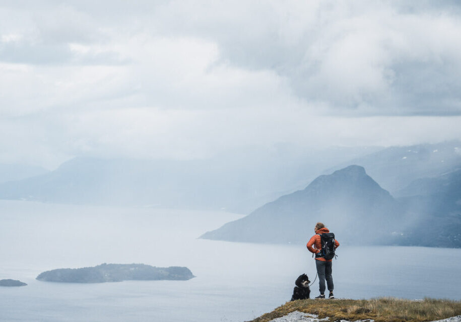 A person with a dog on a leash standing on top of a mountain and looking at the fjord landscape below.