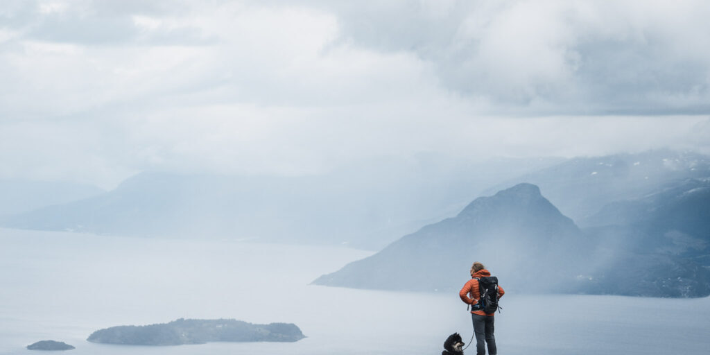 A person with a dog on a leash standing on top of a mountain and looking at the fjord landscape below.