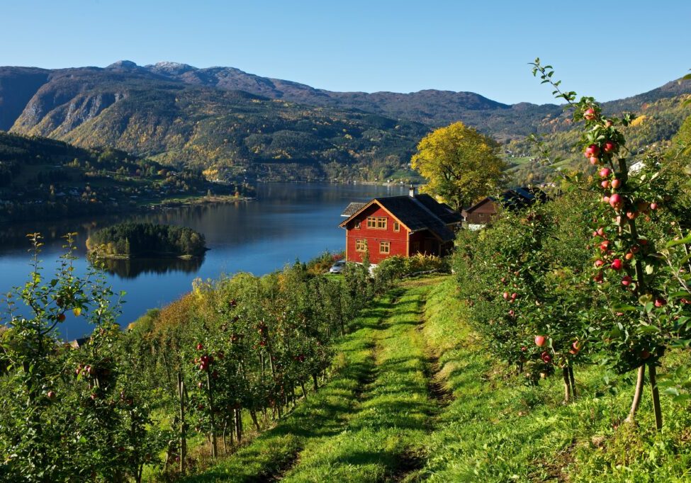Syse-gard-i-Ulvik-Foto-Reinhold-Kager-4540316-Foto_Reinhold_Kager