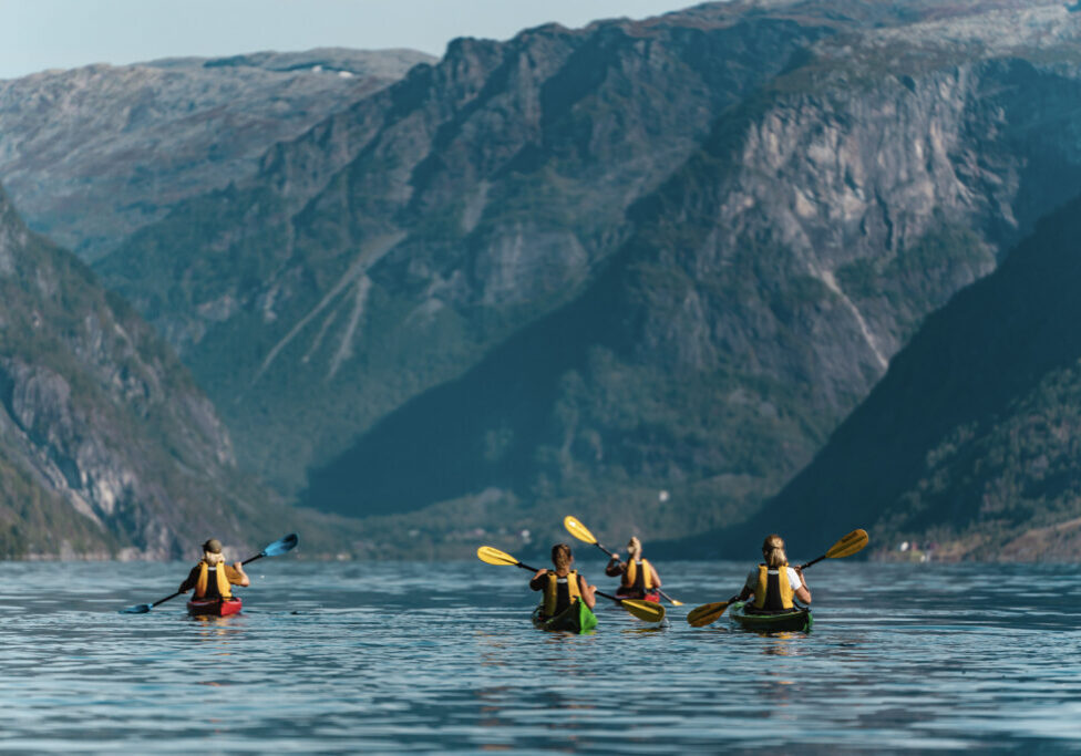 Four people in single kayaks on the fjord seen from the back.